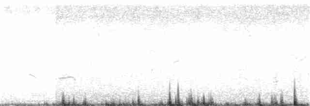 Black-bellied Plover - ML365796181