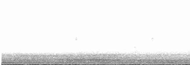 Western Meadowlark - ML365992501