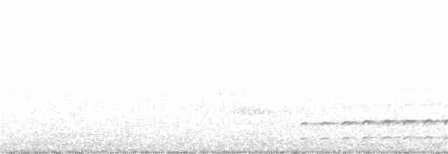 hvitbrynsvartspett - ML366044031