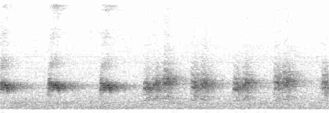 Bulbul goiavier - ML366140311