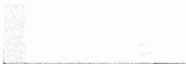 Fidschimonarch - ML36621661