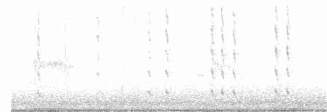 Kara Boğazlı Kolibri - ML366223701
