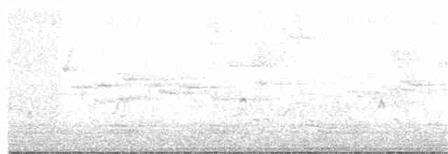 Fleckenpanthervogel - ML36622821