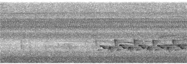 Karolina Çıtkuşu - ML366235211