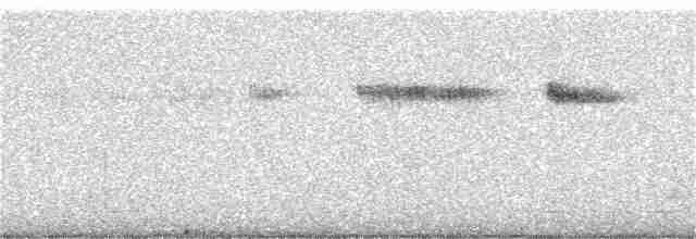 Широкохвостый колибри - ML366306601
