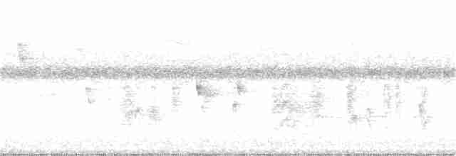 Vireo Ojiblanco - ML366307491