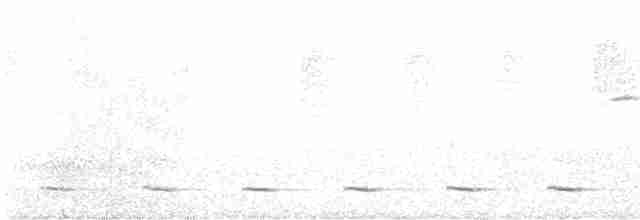Chevêchette des Andes - ML366331121