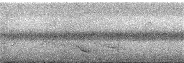 Дрізд-короткодзьоб Cвенсона - ML366366251
