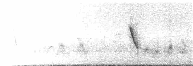 langhaleskredderfugl - ML366379981