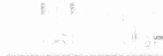 Белоглазый виреон - ML366382761