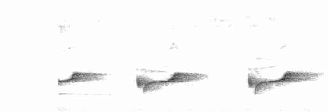Gray-backed Tailorbird - ML366424151