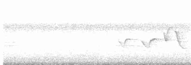 Hooded Warbler - ML366496931
