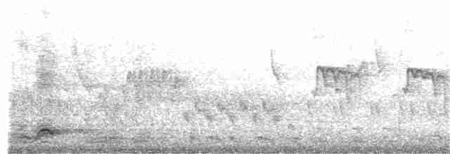Black-crowned Night Heron - ML366509491