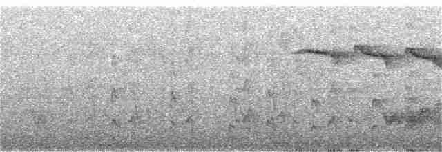 Azure-shouldered Tanager - ML366589341