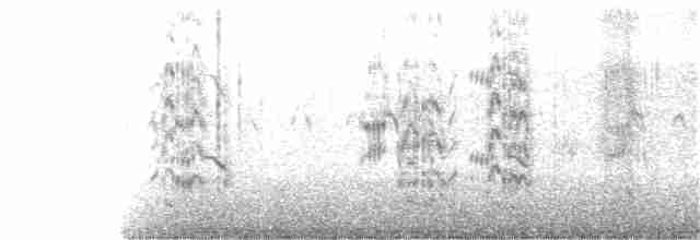 Крячок рябодзьобий - ML366625701
