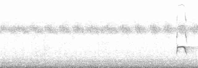Длинноклювый кулик-сорока - ML366701341