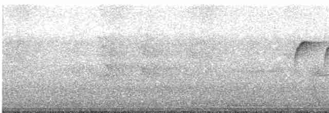 Cinereous Tit - ML366728621