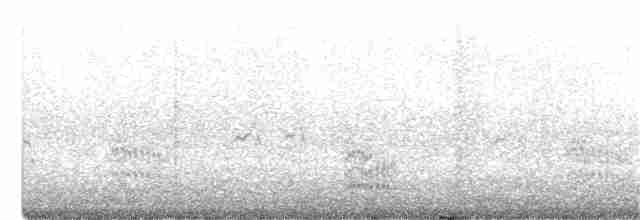Lesser Crested Tern - ML366796391