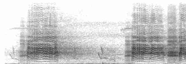 Ara hyacinthe - ML366824621
