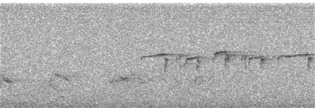 Ошейниковая щурка - ML366901441