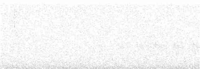Белобрюхая синица - ML366909391