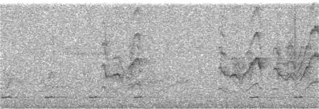 Бронзовая нектарница - ML366910741