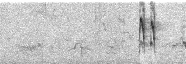 Prinia Gorjiblanca - ML366912521