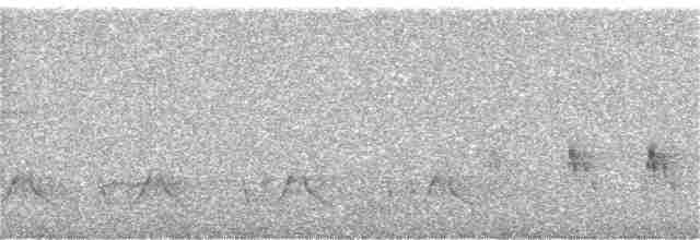 Нікорник сірий - ML366913081