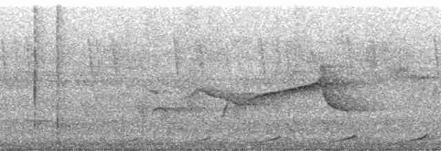 Малая кукушковая горлица - ML36692
