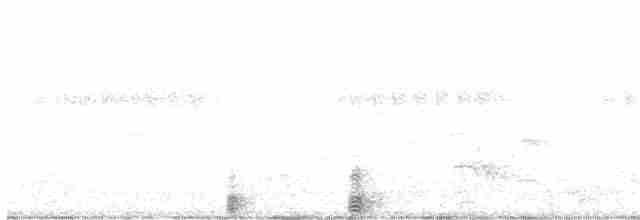 ヒロハシサギ - ML366938751