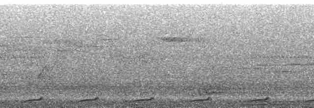 Малая кукушковая горлица - ML36696