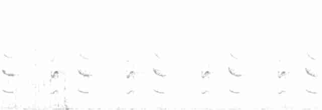 Mérulaxe des Andes - ML366969281