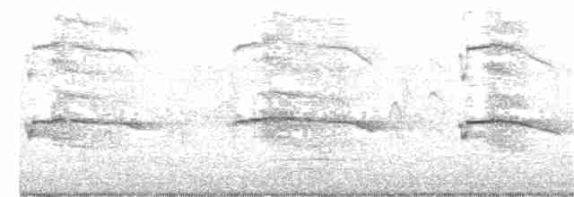 Ацтекская чайка - ML366980961
