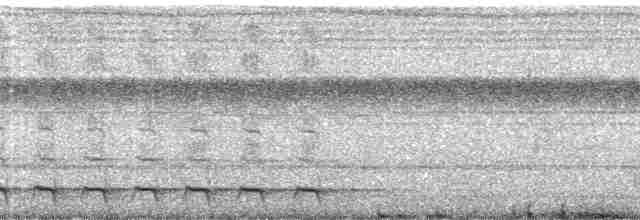 Diard Trogonu - ML367