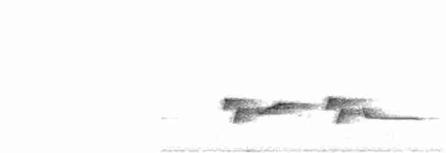 Luzonschneidervogel - ML367014951