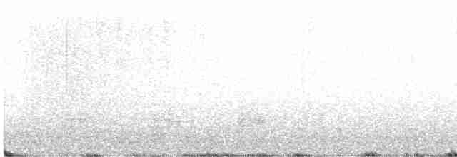 Australian Reed Warbler - ML367040991