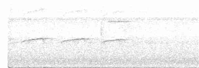 Black-crowned Antshrike - ML367081161