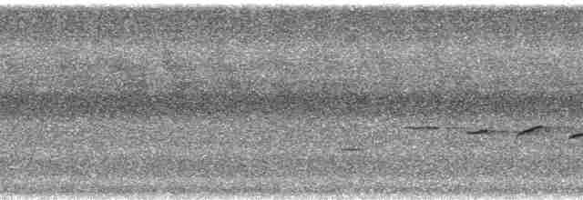 Schwarzring-Brillenvogel - ML36723