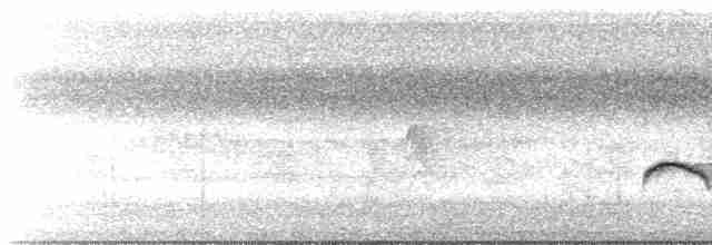 Тиран-малюк омеловий - ML367246191
