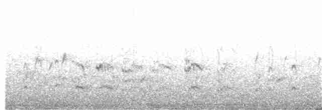 Maori Bıyıklı Sumrusu - ML367301691