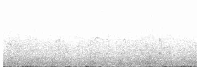 Black-fronted Tern - ML367301711