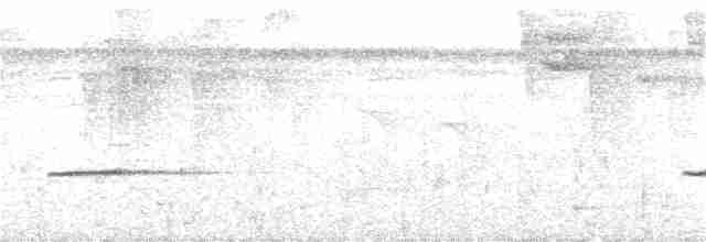 Çizgili Gerdanlı Çıtkuşu - ML367346431