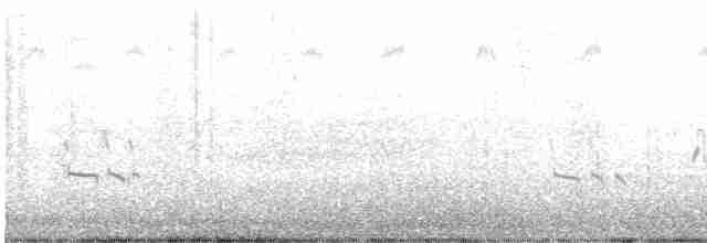 Короткоклювый бекасовидный веретенник - ML367354761
