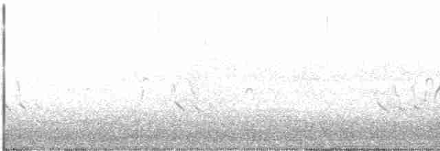 Короткоклювый бекасовидный веретенник - ML367355131