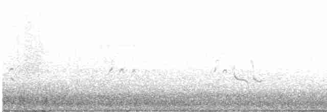 kortnebbekkasinsnipe - ML367355291