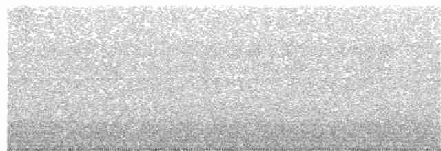 Arrenga siffleur (caeruleus) - ML367408581