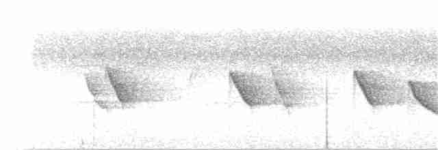 White-throated Shrike-Tanager - ML367476601