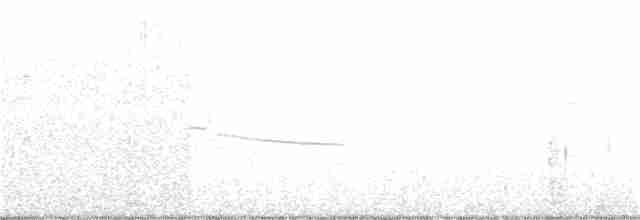 Серпокрилець-вилохвіст великий - ML36748451