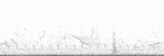 Great Antshrike - ML367611831