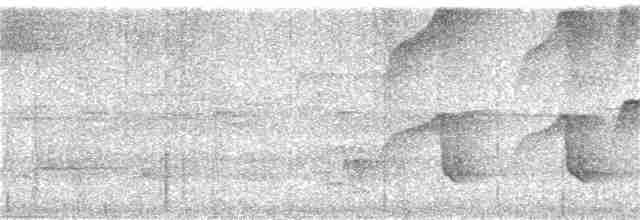 Tarçın Karınlı Kotinga - ML367627481